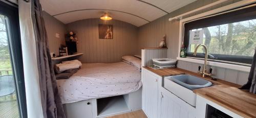 Tirabad Otro | pen-rhos luxury glamping "The Hare Hut"