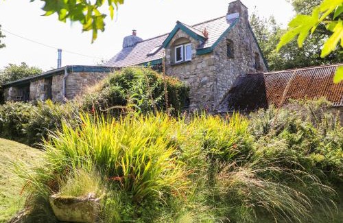 Newport Casa | Penfeidr Newydd