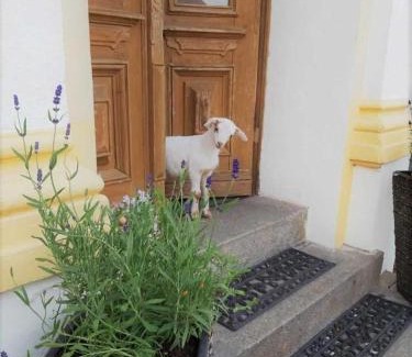Lubbenau/Spreewald Casa | Pension "Am Stadtgraben"