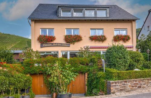 Veldenz Casa | Pension Auf der Olk mit Röpertsmühle