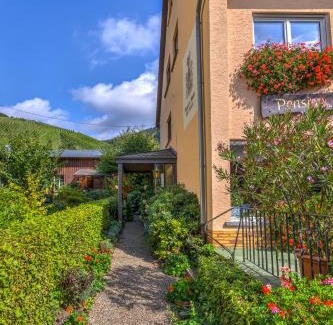 Veldenz Casa | Pension Auf der Olk mit Röpertsmühle