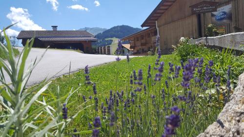 Wildschoenau Casa | Pension Biobauernhof Hinteraltensberg