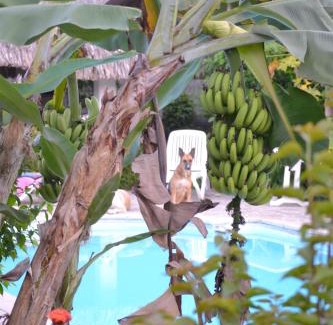 Punaauia Casa | Pension De La Plage