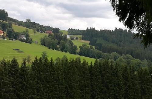 Schwarzenbach Casa | Pension Forsthaus Täle - das Gästehaus vom Schwarzwaldgasthaus Salenhof