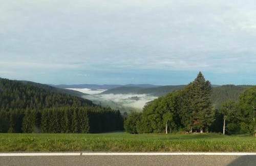 Schwarzenbach Casa | Pension Forsthaus Täle - das Gästehaus vom Schwarzwaldgasthaus Salenhof