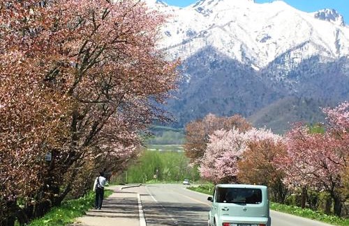 Furano Casa | Pension Hoshi Ni Negaiwo