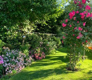 Solingen Apartamento | Pension Löw