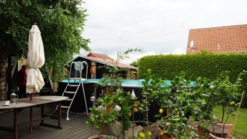 Lindenberg Apartamento | Pension Limone Ferienwohnung 2