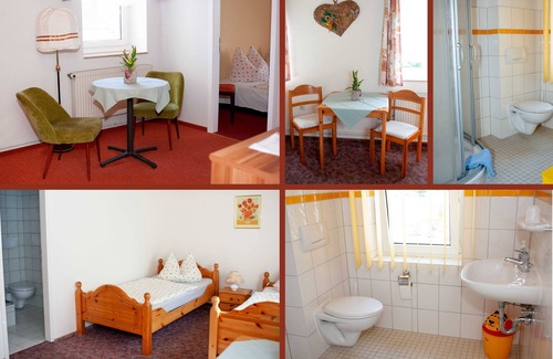 Mockrehna Apartamento | . Pension Meyer's Gasthof - Double room with shower/WC in the room