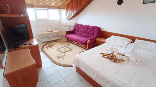 Douazeci si Trei August Casa | Pension Nina