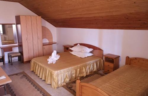 Douazeci si Trei August Casa | Pension Nina