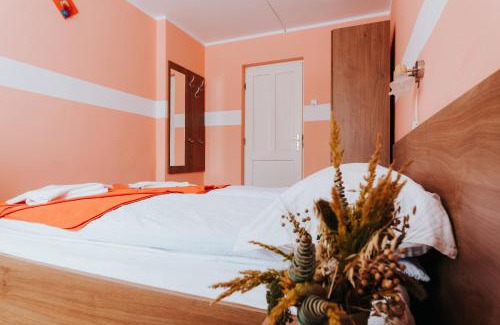 Borsec Cama Y Desayuno | Pension Rose-Trandafirul