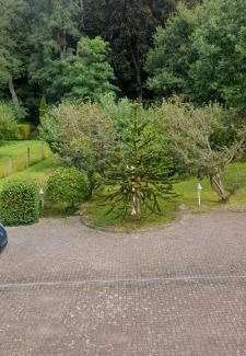 Goldberg Casa | Pension zum Park