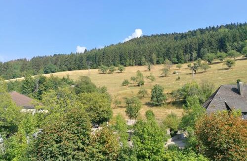 Bad Peterstal-Griesbach Casa | Pension Zur Rose