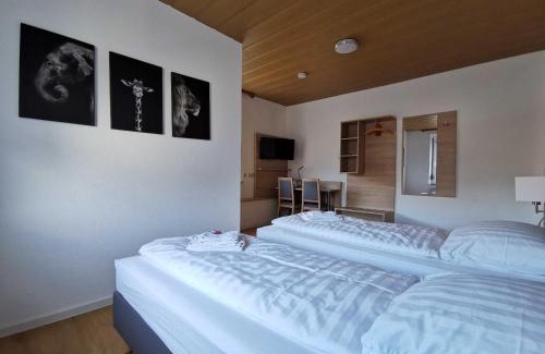 Kleinwallstadt Hotel | Pension zur Linde