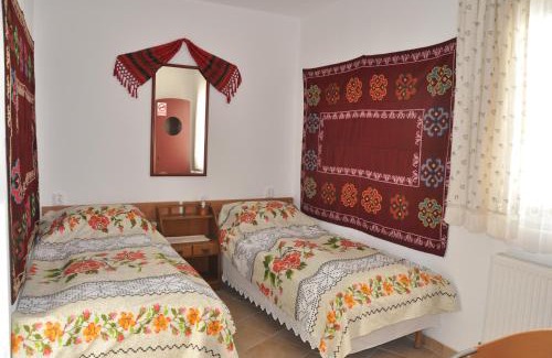 Albesti Casa | Pensiune Muzeu Traditional Poveste in Transilvania