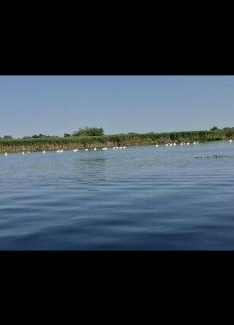 Gorgova Casa | Pensiunea Ákos Delta Dunarii