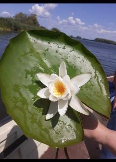 Gorgova Casa | Pensiunea Ákos Delta Dunarii