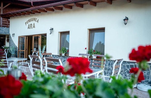 Alba Iulia Casa | Pensiunea Ara