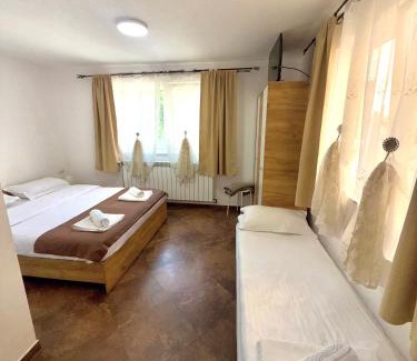 Viseu de Sus Cama Y Desayuno | Pensiunea Axenia Ale