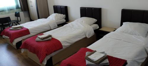 Belis Casa | Pensiunea Bălcești Beliș Apuseni