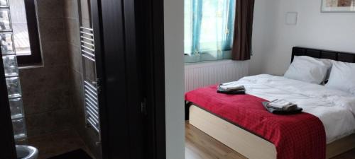 Belis Casa | Pensiunea Bălcești Beliș Apuseni