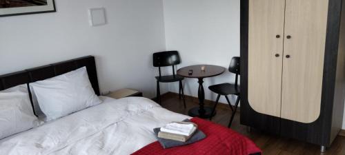 Belis Casa | Pensiunea Bălcești Beliș Apuseni