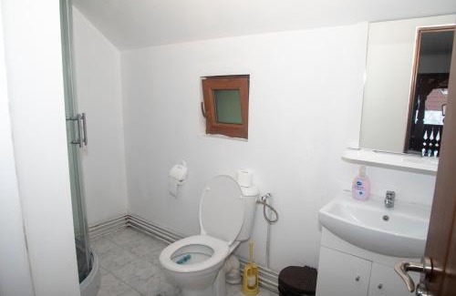 Budesti Casa | Pensiunea Bontos