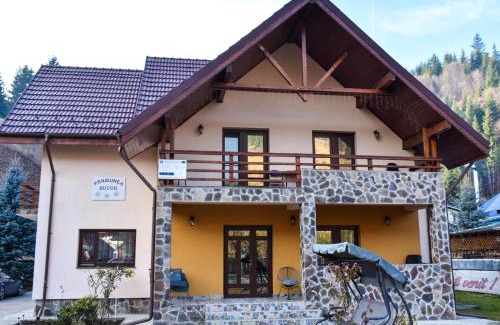 Damuc Casa | Pensiunea Bucur