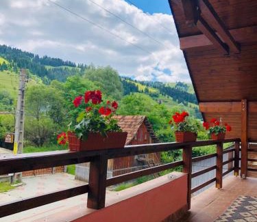Damuc Casa | Pensiunea Bucur