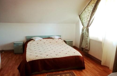 Recea Casa | PENSIUNEA Daria