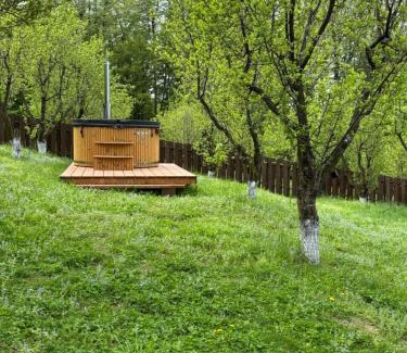 Barnova Casa | Pensiunea Emelys, Iasi