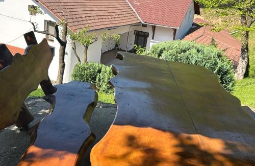 Gura Raului Casa | Pensiunea Hanzu Darius