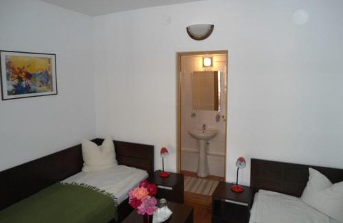Baile Herculane Casa | Pensiunea La Dolce Vita