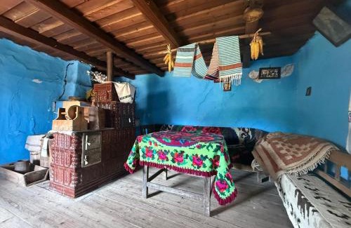 Poienile Izei Casa | Pensiunea La Domnița