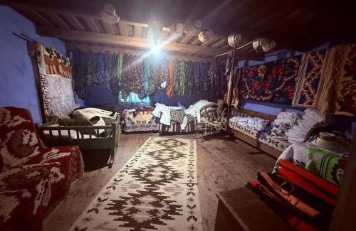 Poienile Izei Casa | Pensiunea La Domnița
