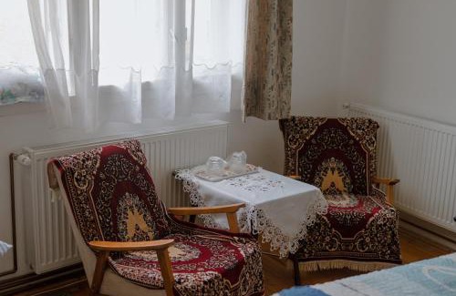 Pietroasa Casa | Pensiunea La Maison Verte