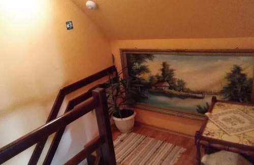 Danesti Casa | Pensiunea Lali Madaras Ciuc