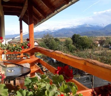 Cartisoara Casa | PENSIUNEA LEIA Transfăgărășan