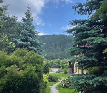 Campulung Moldovenesc Casa | Pensiunea Liliana