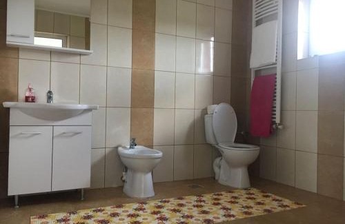 Vaslui Casa | Pensiunea lui George