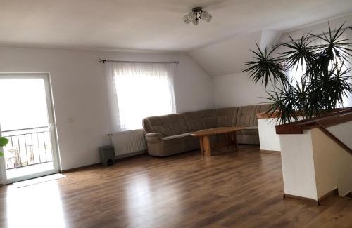 Ocna Sugatag Casa | Pensiunea Magnolia