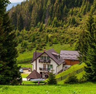 Moeciu de Sus Casa | Pensiunea Poienita Ursului