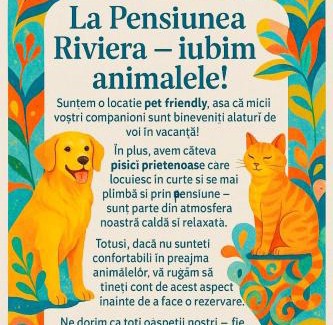 Costinesti Casa | Pensiunea Riviera