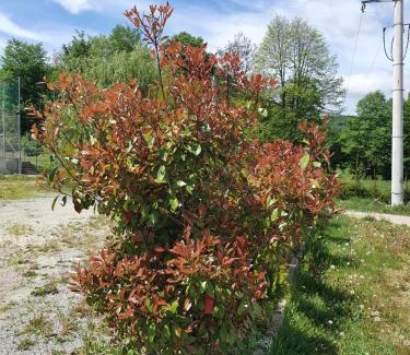 Baia de Aries Casa | Pensiunea Roua Muntelui