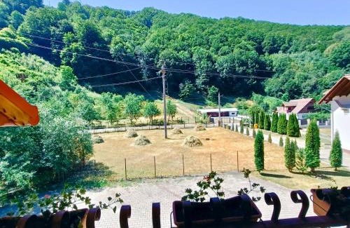 Sugag Casa | Pensiunea Silva Dobra