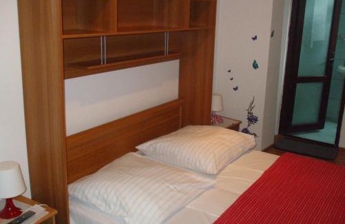 Baile Herculane Casa | Pensiunea Soimul