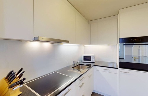 Muhlebach Apartamento | Penthouse flat in the city center/near lake (SF18)