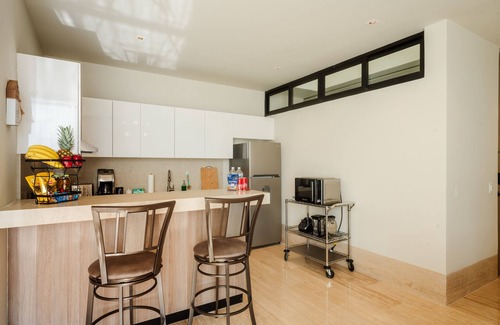 Adolfo López Mateos Condominio | Penthouse Perfect-Just Released