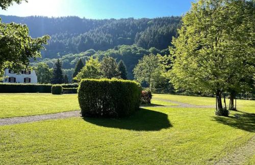 Traben-Trarbach Apartamento | Penthouse Palais Mosel